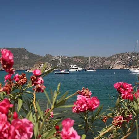 Brand Homes Sogut Sea View Daily Weekly Rentals. Апартаменты *